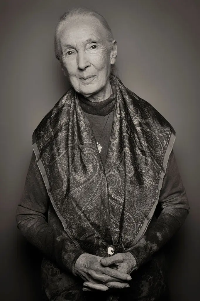 Jane Goodall